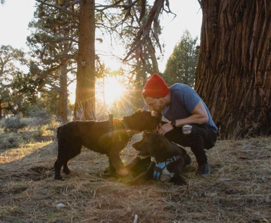 What to do in Big Bear with your dog